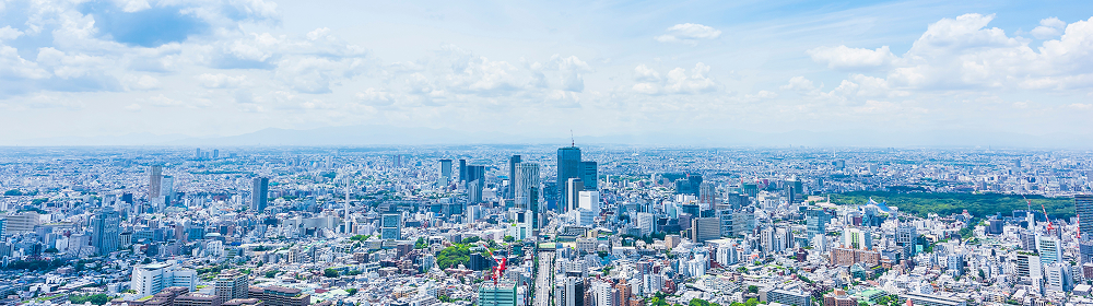 都市の街並みが広がる、社会（Social）のイメージ写真